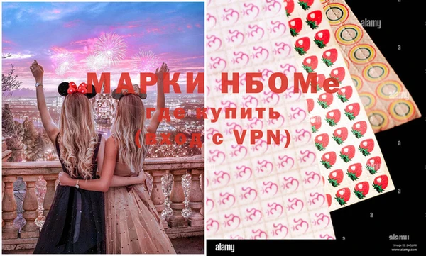 мдпв Арсеньев